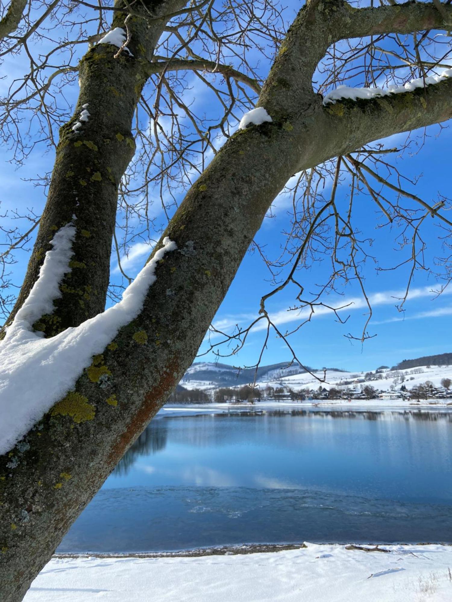 Fewo Panorama Diemelsee Exteriér fotografie